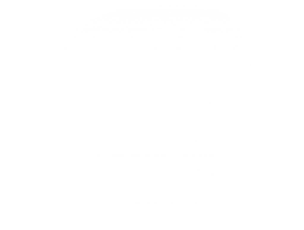 Ibiza Rocks Logo