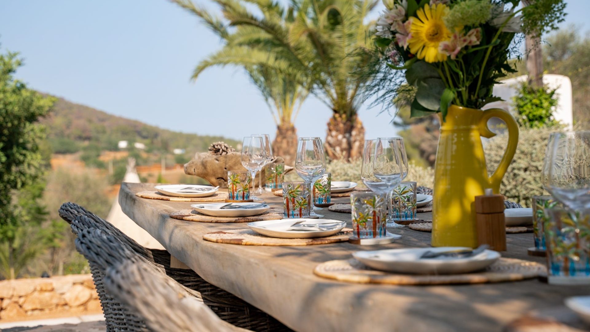 CanBarda Ibiza